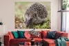 MuchoWow® Poster Igel im Gras 160x120 cm - Foto Plakat Produktbild-Vorschau 2
