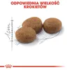 Royal Canin Sterilised 2 kg Náhled obrázku produktu 12