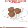 Royal Canin Puppy Mini - 800 g Produktbild-Vorschau 9