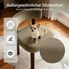 COLAMY Set da 2 sedie da pranzo in legno massello, design Anteprima dell’immagine prodotto 7