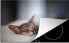 KitchenYeah© Herdabdeckplatte Katzen - Schlafend - Produktbild-Vorschau 1