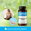 Bioherba Zitronenmelisse Extrakt 200 mg 100 Kapseln Produktbild-Vorschau 7