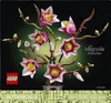 Äste mit Magonolien Blüten Produktbild-Vorschau 8