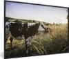 MuchoWow® MuchoWow® Gerahmtes Poster Kühe - Licht - Natur Produktbild-Vorschau 1