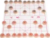 Čínský šachový set Bukové dřevo Intelektuální růst Xiangqi Náhled obrázku produktu 4