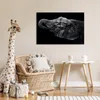 MuchoWow® Poster Elefant - Tiere - Schwarz - Natur 60x40 cm Produktbild-Vorschau 7