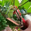 Sada 3 ks profesionálnych viazačov rastlín s 20 rolkami Náhľad obrázku produktu 9