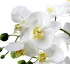 Kunst-Pflanze Orchidee ovaler Topf silber hochglanz und Produktbild-Vorschau 4