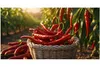 K T 150 g Chilies ganz Bird Eyes 1-3 cm sehr scharf - 1A Produktbild-Vorschau 3