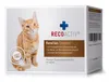 Recoactiv Renaltan Tonicum f.Katzen 3X90 ml Produktbild-Vorschau 2