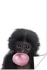 MuchoWow® Poster Affe - Kaugummi - Weiß - Für Kinder - Produktbild-Vorschau 1