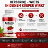 Berberin – 500 mg Extrakt aus Berberis-Aristata-Wurzel zur Produktbild-Vorschau 4