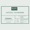 Zielinsky Universal-Stein Spezial Schwamm, 5er Pack Produktbild-Vorschau 4