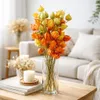 Physalis Zweige getrocknet Natur - Lampionblume Deko - Boho Produktbild-Vorschau 2