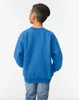 Gildan Heavy Blend Youth Crewneck Sweat (pull à col roulé) Voir les images du produit 6