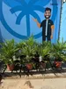 Chamaerops Humilis - europejska palma karłowata - Podgląd zdjęcia produktu 3