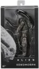 Xenomorph-Figur aus dem Film "Aliens" 18 cm, Produktbild-Vorschau 2