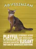 vianmo Holzschild 40x30 cm Abyssinian Katze playful elegant Produktbild-Vorschau 1