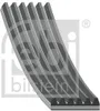 FEBI BILSTEIN Keilrippenriemen 1120mm für VW Golf IV Produktbild-Vorschau 13