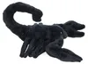 Kuscheltier Skorpion schwarz 26 cm Plüschskorpion Produktbild-Vorschau 3