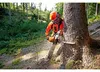 Piła Łańcuchowa Stihl Ms 362 Podgląd zdjęcia produktu 3