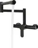 A black kitchen faucet with water running from it, mounted on a white background. Podgląd zdjęcia produktu