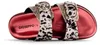 Buty Gioseppo 78025CARNEYRED Podgląd zdjęcia produktu 14