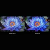 Xiaomi TV S Mini LED 55 2025 139,7 cm (55") 4K Ultra HD Anteprima dell’immagine prodotto 20