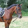 Covalliero Dreieckszügel, Ausbinder, Wienerzügel, Full, Produktbild-Vorschau 3