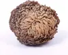 A dried plant resembling a ball, with tightly packed, brown, leaf-like structures. Voir les images du produit