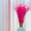 Flachs Getrocknete - (Leinen) - Fuchsia Produktbild-Vorschau 2
