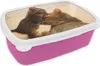 KitchenYeah® Lunchbox Brotzeit Brotdose 17x11 cm Ein Produktbild-Vorschau 1