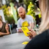 Lotta contro gli spiedini - il brutto gioco di carte Anteprima dell’immagine prodotto 9