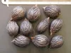 Palmier à queue de renard (Wodyetia bifurcata) - 2 graines Voir les images du produit 3
