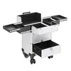 Kosmetikkoffer Silber Trolley 40L Schminkkoffer Aluminium Produktbild-Vorschau 6