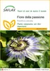 SAFLAX  - Fiore della passione - 25 semi - Passiflora Anteprima dell’immagine prodotto 1