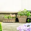 Rattan Pflanzkasten Koboo Grey 46cm – Balkonkasten Produktbild-Vorschau 8