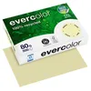 Exacompta Clairefontaine Evercolor - Kanariengelb - A4 (210 Produktbild-Vorschau 3