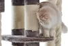 Nobby Kratzbaum "KYLA" cappuccino Anteprima dell’immagine prodotto 2
