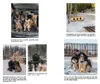 Der Hundebeschützer Produktbild-Vorschau 5