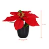 A red poinsettia plant in a black pot with size indicators. Voir les images du produit