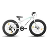 HILAND 24 Zoll Kinderfahrrad mit 4.0 Fat Tire, Shimano Produktbild-Vorschau 2