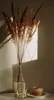 6 X 2L Flasche + EKO Korb GLASBALLON Weinballon GLASFLASCHE Produktbild-Vorschau 7