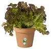 elho green basics Anzuchttopf 24cm - mild tonrot Produktbild-Vorschau 10