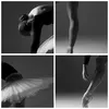 Bilder auf glas - Einteilig - Ballerina Figur Schwarz und Produktbild-Vorschau 8
