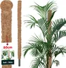 KOTARBAU® Podpora Kokosowa do Roślin ⌀ 2,5 x 80 cm Podpórka Podgląd zdjęcia produktu 1
