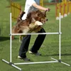 UISEBRT zestaw płotków agility dla psów sprzęt agility dla Podgląd zdjęcia produktu 9