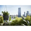 Blumenampel Elho Greenville Kunststoff Ø 24 cm H 49,5 cm Produktbild-Vorschau 4