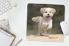 MuchoWow® Mauspad Mousepad Ein Shih Tzu Hund hüpft durch Produktbild-Vorschau 5