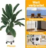 XMTECH 2 kusy válečků na rostliny, kovový váleček na Náhled obrázku produktu 3